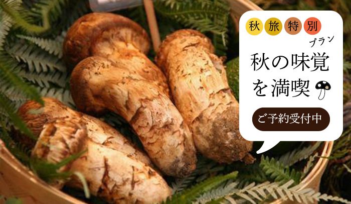 秋の特別プラン