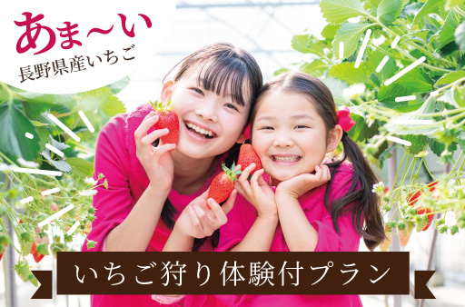 野県産のいちご狩りが楽しめる！いちご狩り体験付プラン